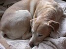 [Bonesmart.org] 12 week post-THR report!