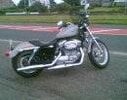 [Bonesmart.org] Will I be able to ride my Harley Davidson again