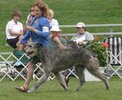 [Bonesmart.org] Running ?