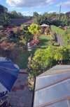 [Bonesmart.org] Part gardening, part recovery post!
