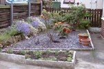 [Bonesmart.org] Part gardening, part recovery post!