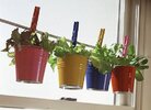 [Bonesmart.org] Part gardening, part recovery post!