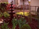 [Bonesmart.org] Part gardening, part recovery post!