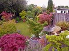 [Bonesmart.org] Part gardening, part recovery post!