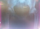 [Bonesmart.org] got great pics