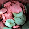 [Bonesmart.org] Nanamac's story - Part 2
