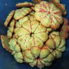 [Bonesmart.org] Nanamac's story - Part 2