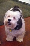 [Bonesmart.org] DallasSarah post op update!