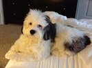 [Bonesmart.org] DallasSarah post op update!