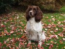 [Bonesmart.org] Jo has a new knee
