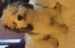[Bonesmart.org] DallasSarah post op update!