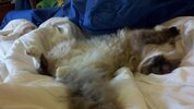 [Bonesmart.org] Z's Postop thread