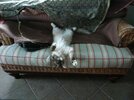 [Bonesmart.org] Z's Postop thread