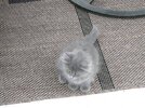 [Bonesmart.org] Z's Postop thread