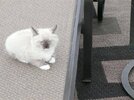 [Bonesmart.org] Z's Postop thread