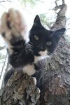 [Bonesmart.org] Z's Postop thread