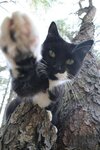 [Bonesmart.org] Z's Postop thread