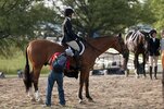 [Bonesmart.org] Bj Mac's Recovery