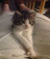 [Bonesmart.org] My left knee story, revision complete 8/14/12, hopeful