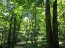 [Bonesmart.org] Journey Continuing June 4th, 2012