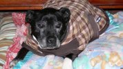 [Bonesmart.org] Need Help and Encouragement, please...