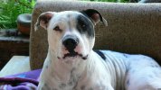 [Bonesmart.org] so glad that is over !