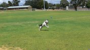 [Bonesmart.org] so glad that is over !