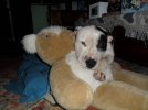 [Bonesmart.org] so glad that is over !