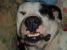 [Bonesmart.org] so glad that is over !