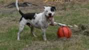 [Bonesmart.org] Need Help and Encouragement, please...