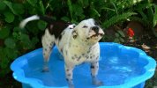 [Bonesmart.org] Need Help and Encouragement, please...