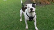 [Bonesmart.org] so glad that is over !
