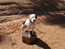 [Bonesmart.org] so glad that is over !