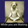 [Bonesmart.org] Panic stations