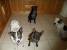 [Bonesmart.org] so glad that is over !