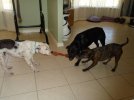 [Bonesmart.org] so glad that is over !