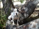 [Bonesmart.org] so glad that is over !
