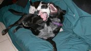 [Bonesmart.org] so glad that is over !