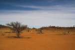[Bonesmart.org] Panic stations
