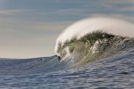 [Bonesmart.org] Panic stations