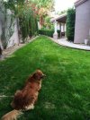 [Bonesmart.org] Eva41 on the Road to Recovery in Las Vegas