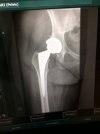 [Bonesmart.org] Sue629 Slides down the rainbow and onto the other side