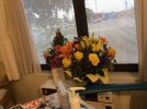 [Bonesmart.org] Infection, dislocation, revisions, & life beyond