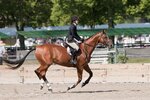 [Bonesmart.org] Bj Mac's Recovery