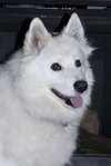 [Bonesmart.org] Story of My Knees by RestAssured: Pt 3