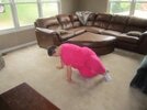 [Bonesmart.org] How do you get up from the ground?