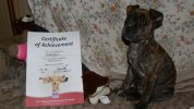 [Bonesmart.org] so glad that is over !