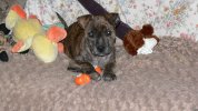 [Bonesmart.org] so glad that is over !