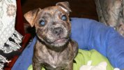 [Bonesmart.org] so glad that is over !
