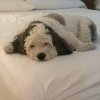 [Bonesmart.org] DallasSarah post op update!